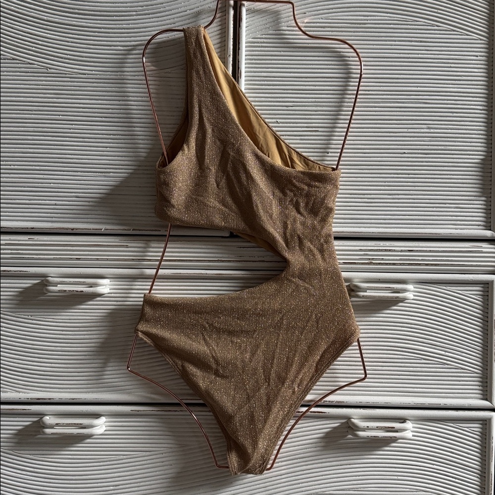 Beach Riot Bronze One-Shoulder Swimsuit - Picture 5 of 6